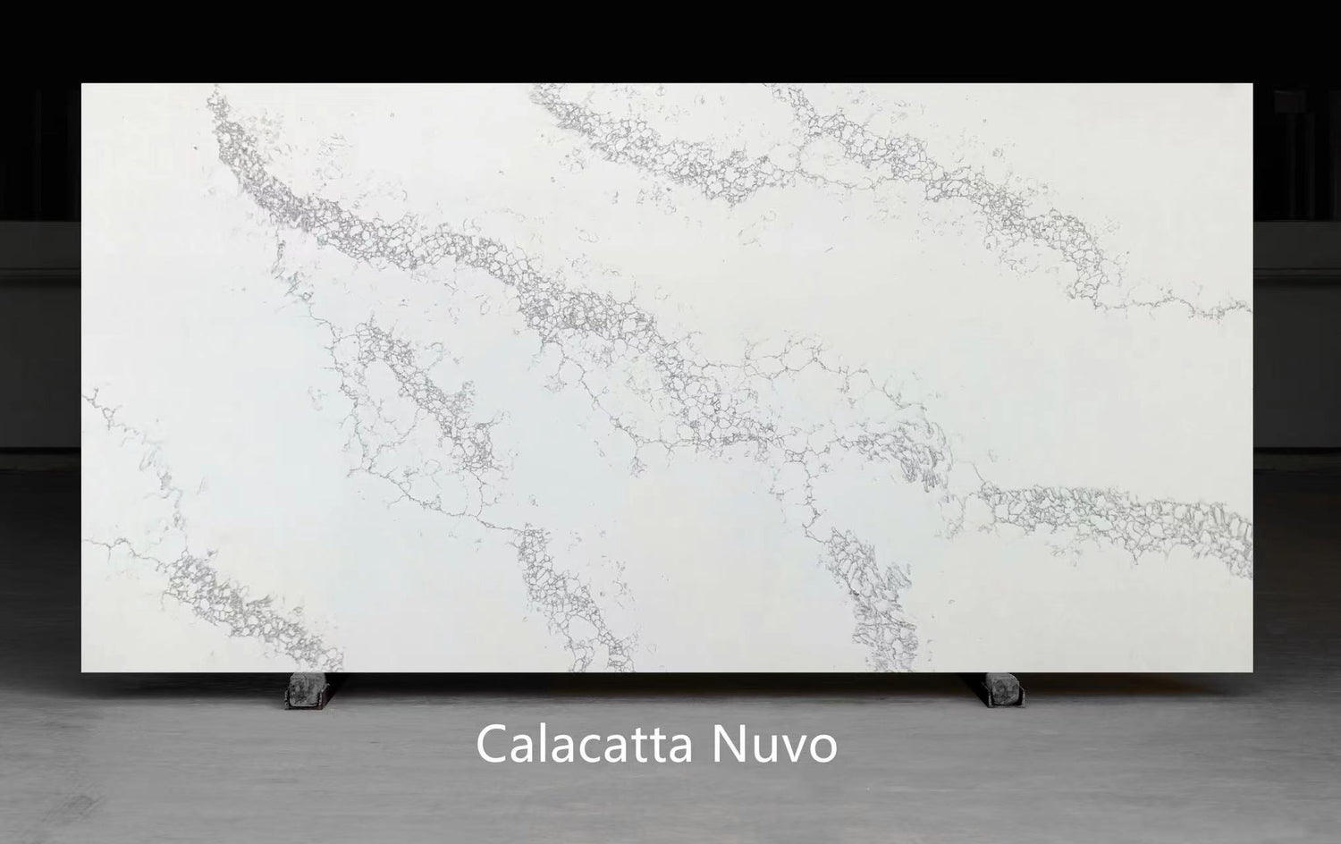 Calacatta Nuvo