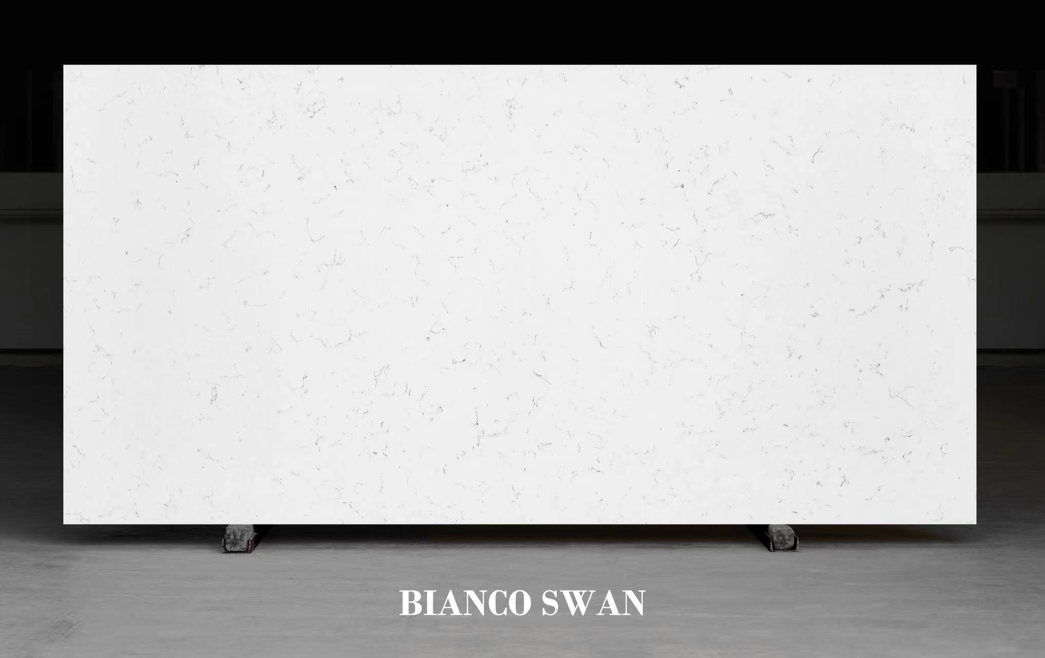 Blanco Swan